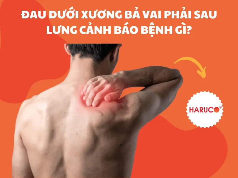 dai-lung-da-nong-haruco