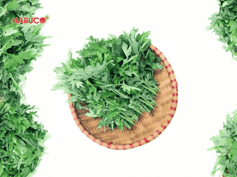 tham-ngai-cuu-dong-y