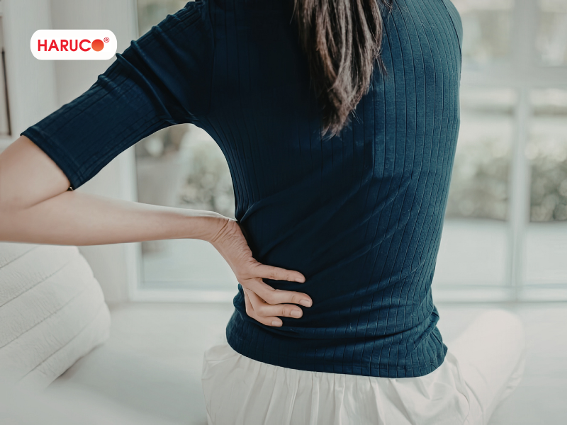 dai-lung-cot-song-haruco