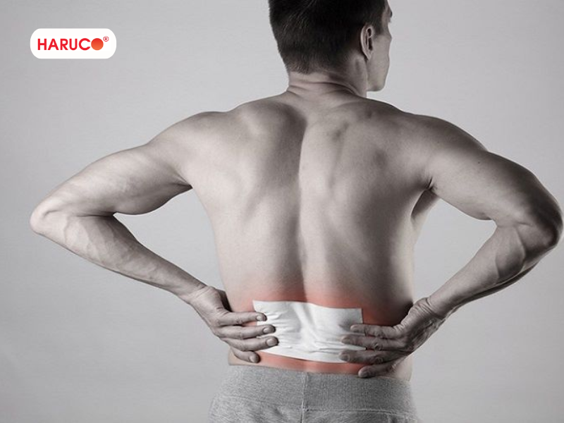 dai-lung-cot-song-haruco