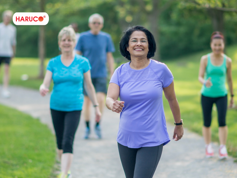 dai-lung-cot-song-haruco