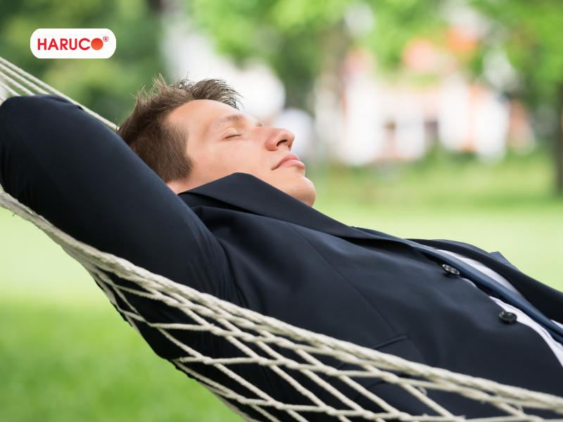 dai-lung-cot-song-haruco