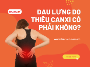 dai-lung-cot-song-haruco