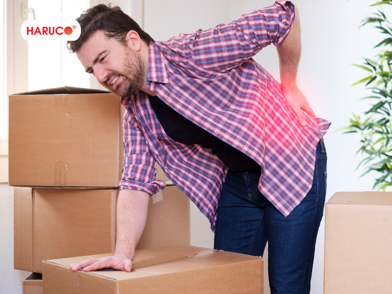 dai-lung-cot-song-haruco