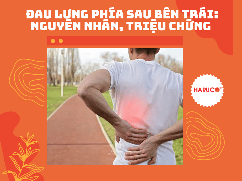 dai-lung-cot-song-haruco