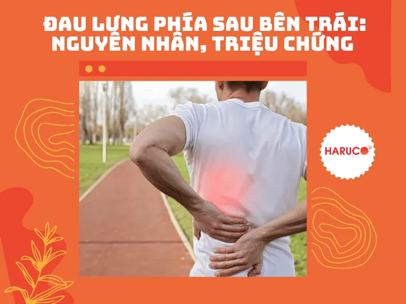 Đau lưng phía sau bên trái: Nguyên nhân, triệu chứng 