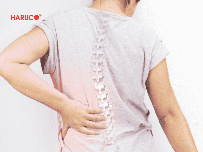 dai-lung-da-nong-haruco