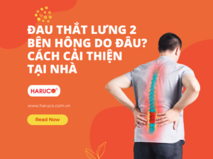 dai-lung-cot-song-haruco