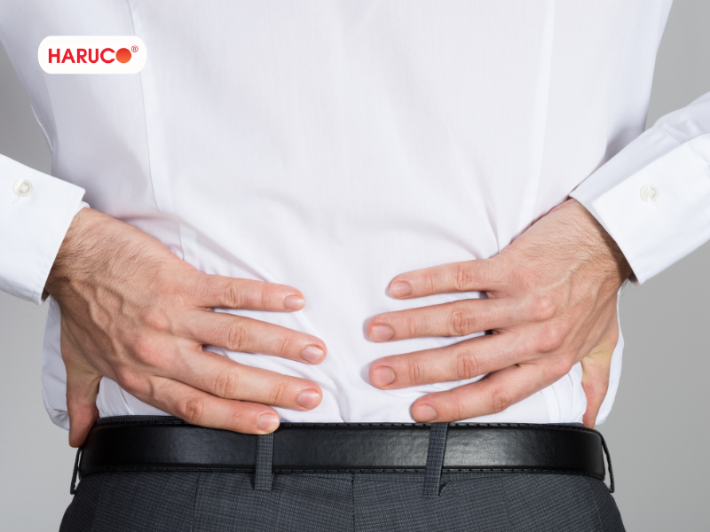 dai-lung-cot-song-haruco