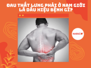 dai-lung-cot-song-haruco