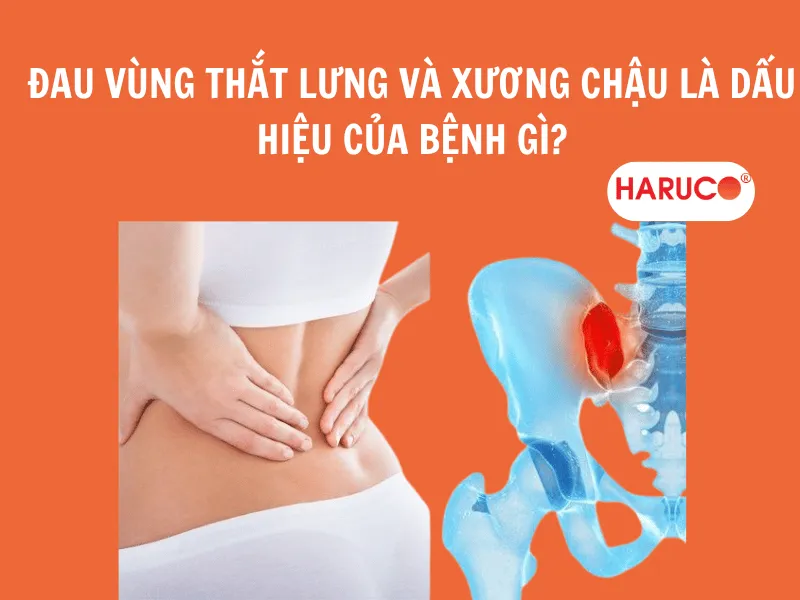 dai-lung-da-nong-haruco