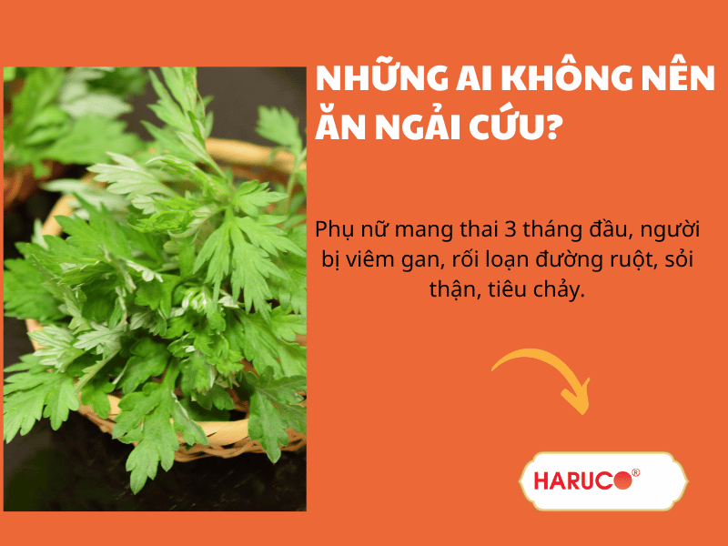 Giải đáp: Những ai không nên ăn ngải cứu? Lưu ý khi ăn