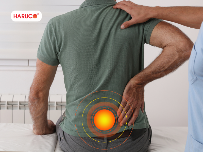 dai-lung-cot-song-haruco