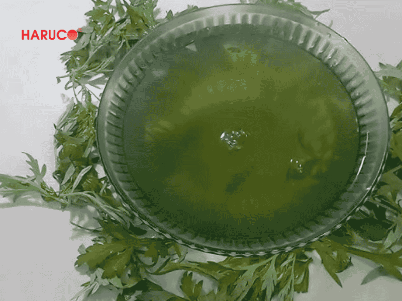 tham-ngai-cuu-dong-y