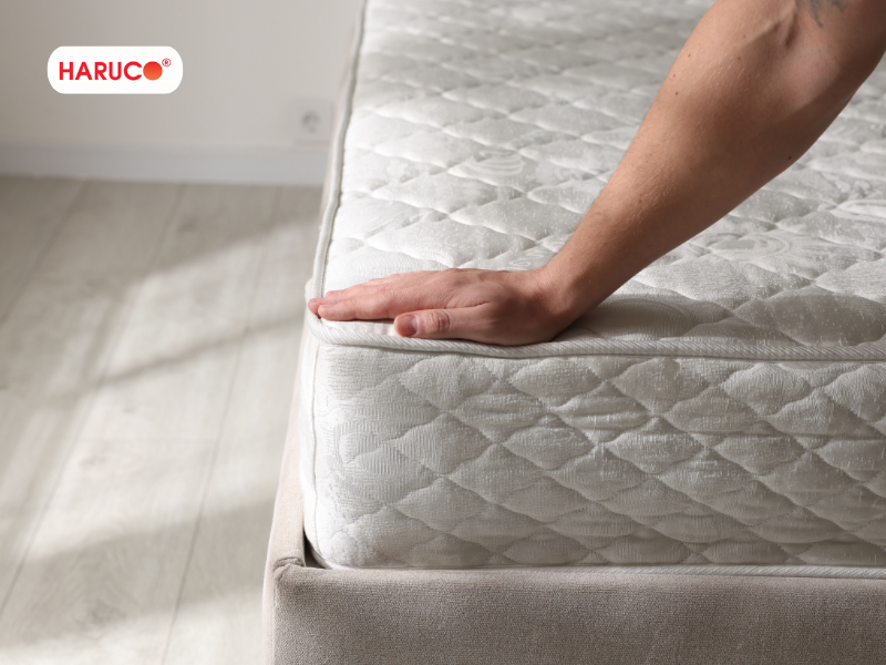 dai-lung-cot-song-haruco