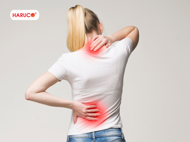 dai-lung-cot-song-haruco