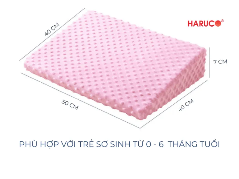 goi-chong-trao-nguoc-hakoro