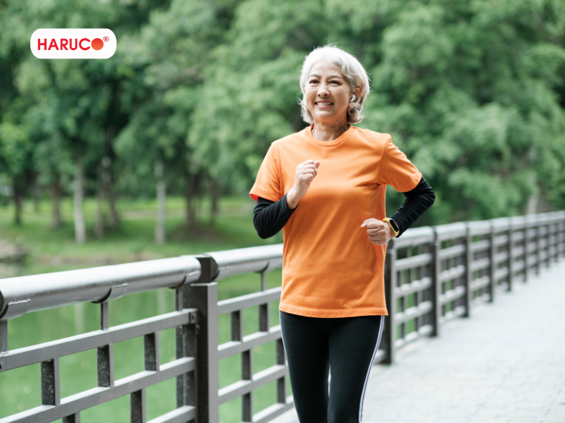 dai-lung-cot-song-haruco