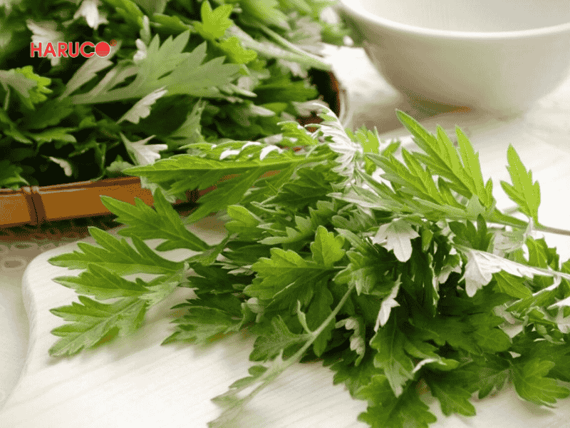 tham-ngai-cuu-dong-y