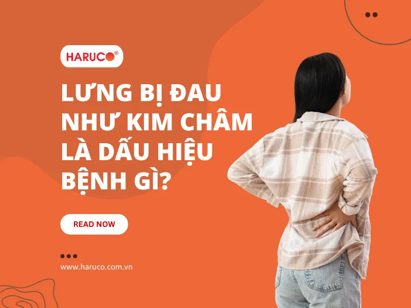 dai-lung-cot-song-haruco