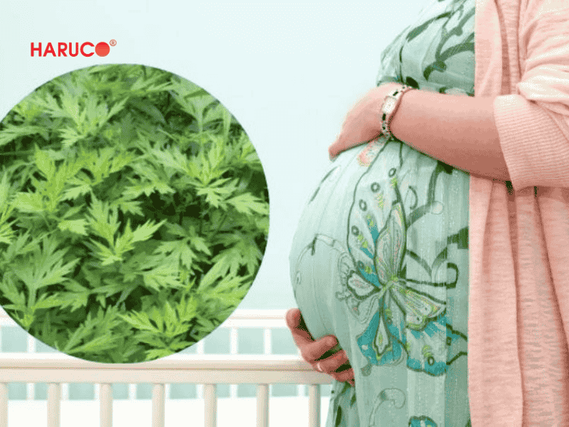 tham-ngai-cuu-dong-y