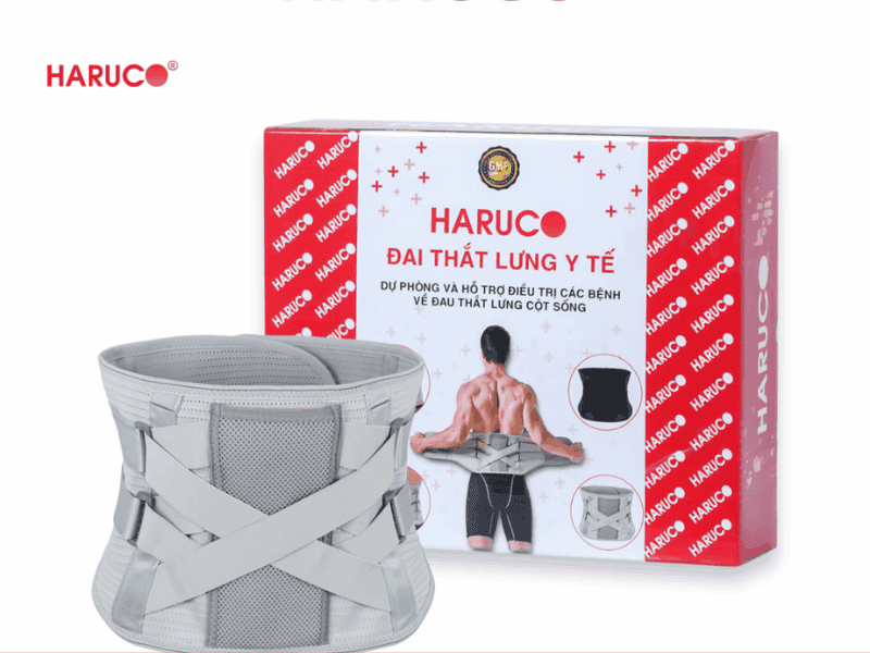 dai-lung-cot-song-haruco