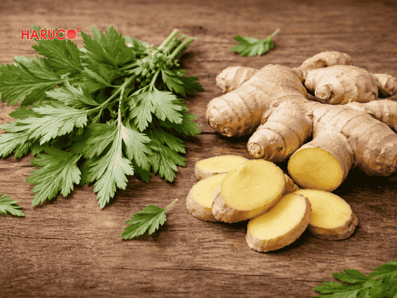 tham-ngai-cuu-dong-y