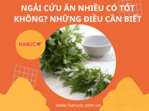 tham-ngai-cuu-dong-y