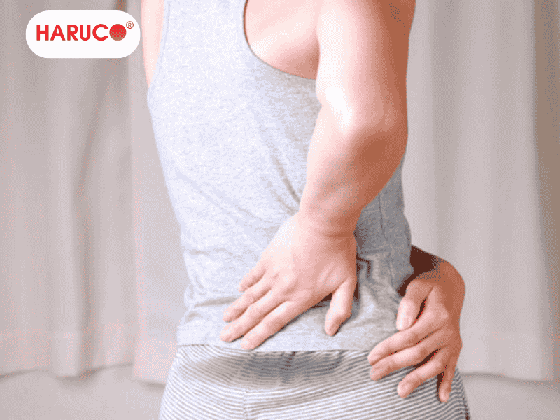 dai-lung-cot-song-haruco