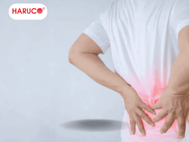 dai-lung-cot-song-haruco