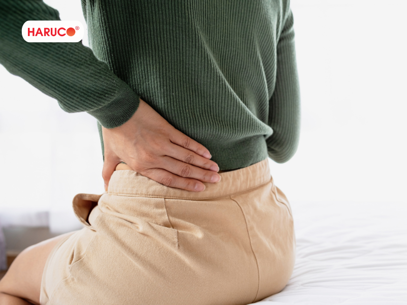 dai-lung-cot-song-haruco