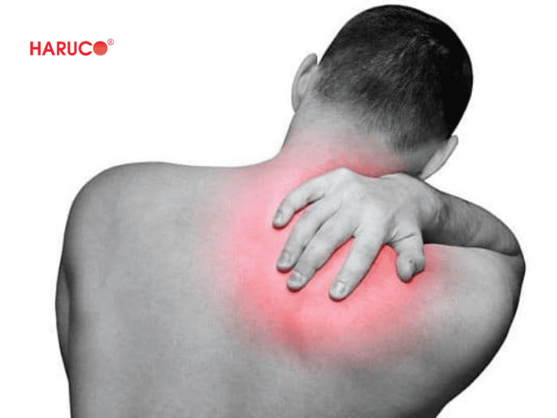 dai-lung-cot-song-haruco