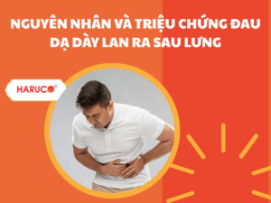 dai-lung-cot-song-haruco