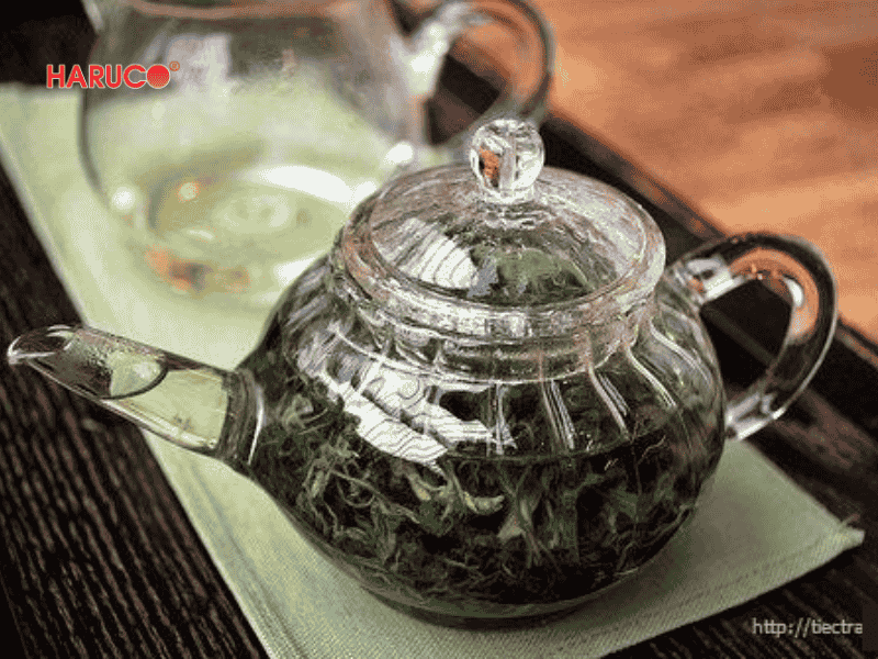 tham-ngai-cuu-dong-y