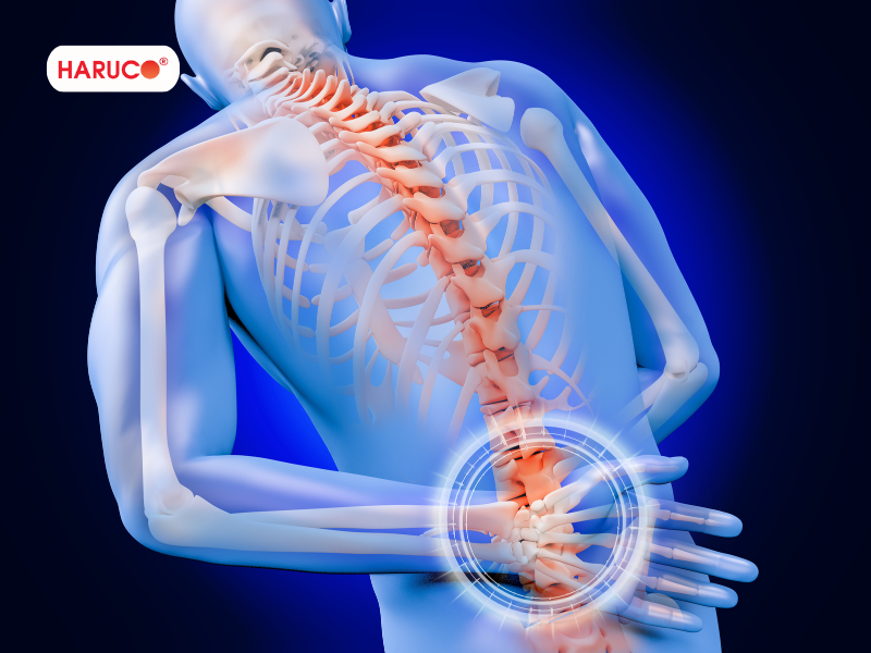 dai-lung-cot-song-haruco