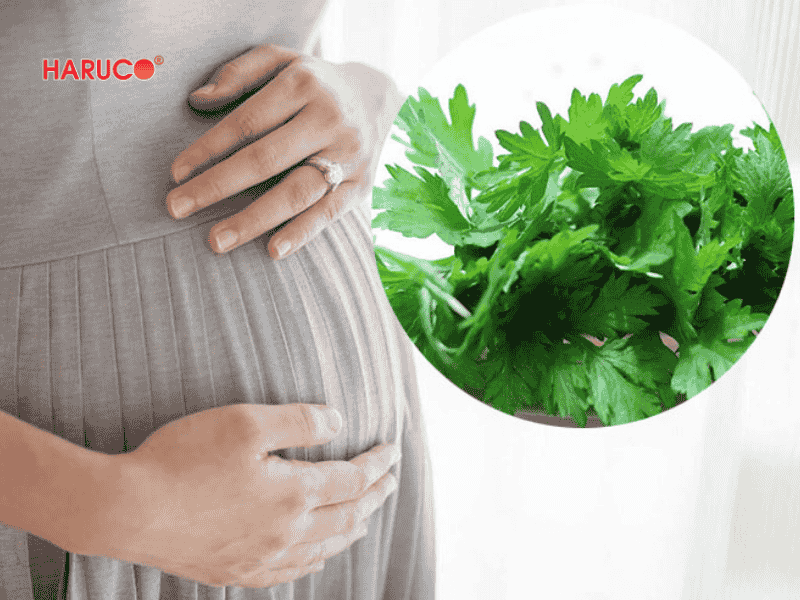 tham-ngai-cuu-dong-y