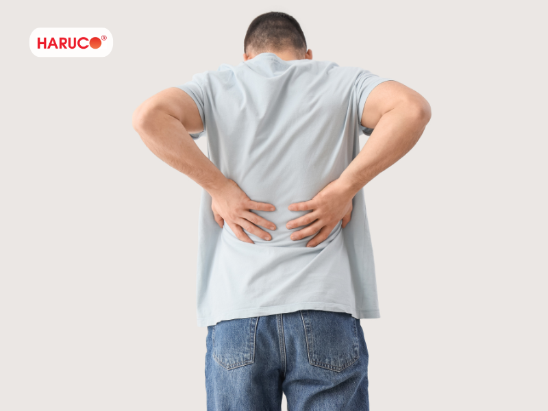 dai-lung-cot-song-haruco