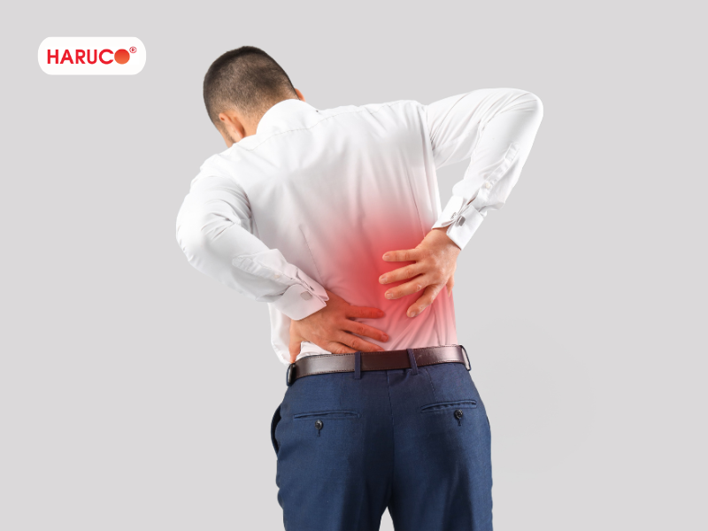 dai-lung-cot-song-haruco