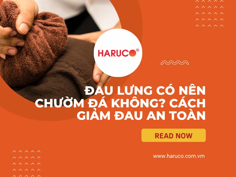 dai-lung-cot-song-haruco