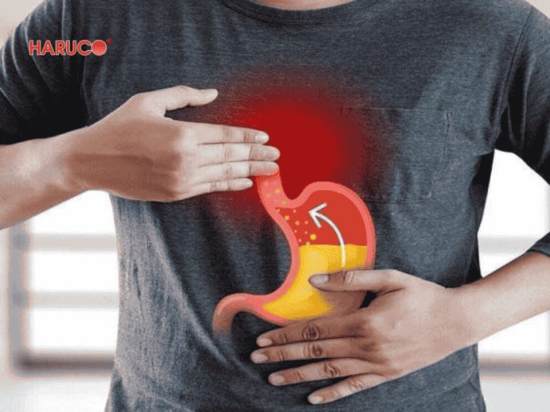 goi-chong-trao-nguoc-hakoro