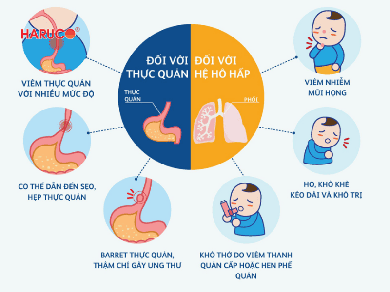 goi-chong-trao-nguoc