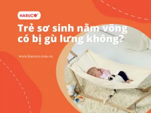 goi-chong-trao-nguoc