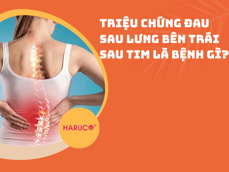 Triệu chứng đau sau lưng bên trái sau tim là bệnh gì?