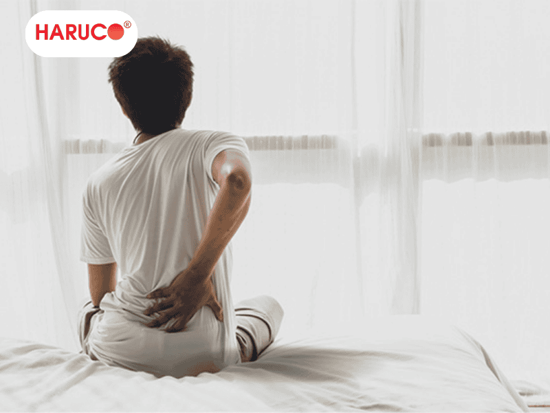 dai-lung-cot-song-haruco