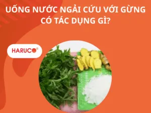 tham-ngai-cuu-dong-y