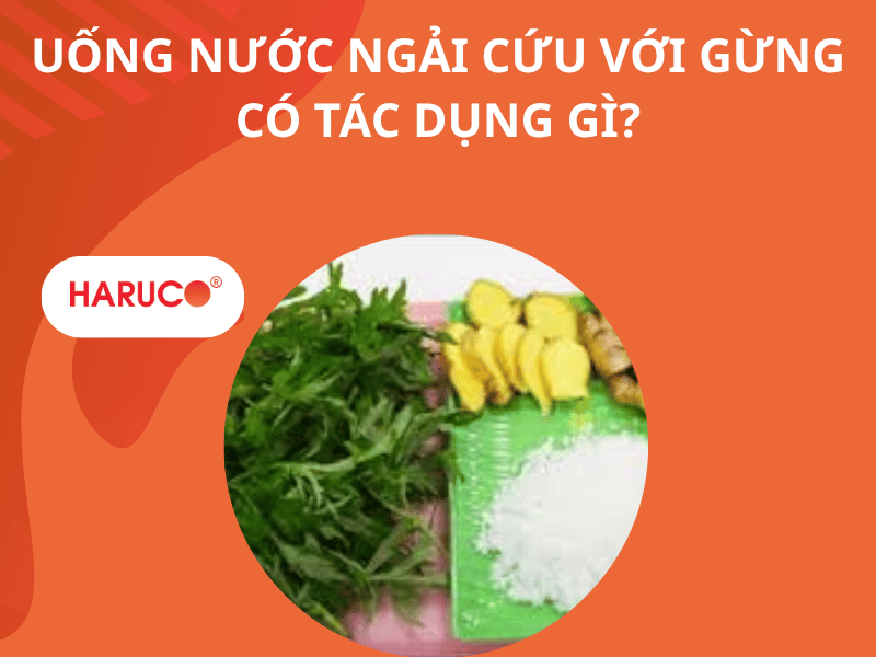 Uống nước ngải cứu với gừng có tác dụng gì?