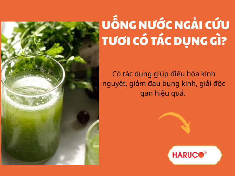 Thắc mắc: Uống nước ngải cứu tươi có tác dụng gì?