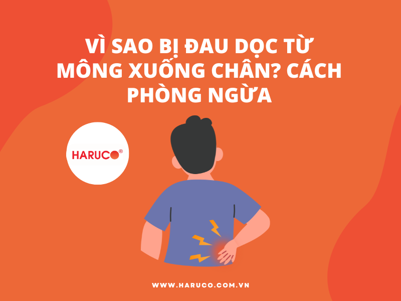 Vì sao bị đau dọc từ mông xuống chân? Cách phòng ngừa