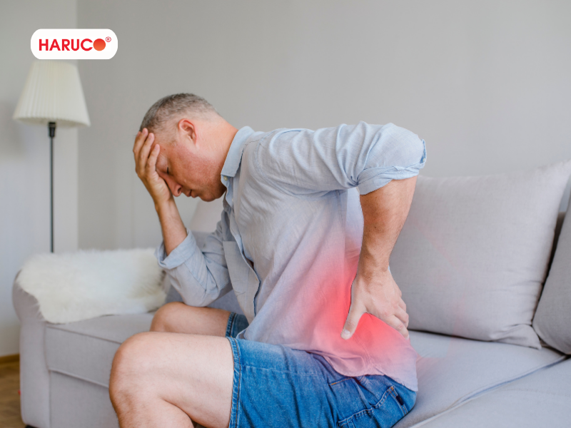 dai-lung-cot-song-haruco