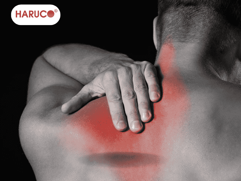 dai-lung-cot-song-haruco